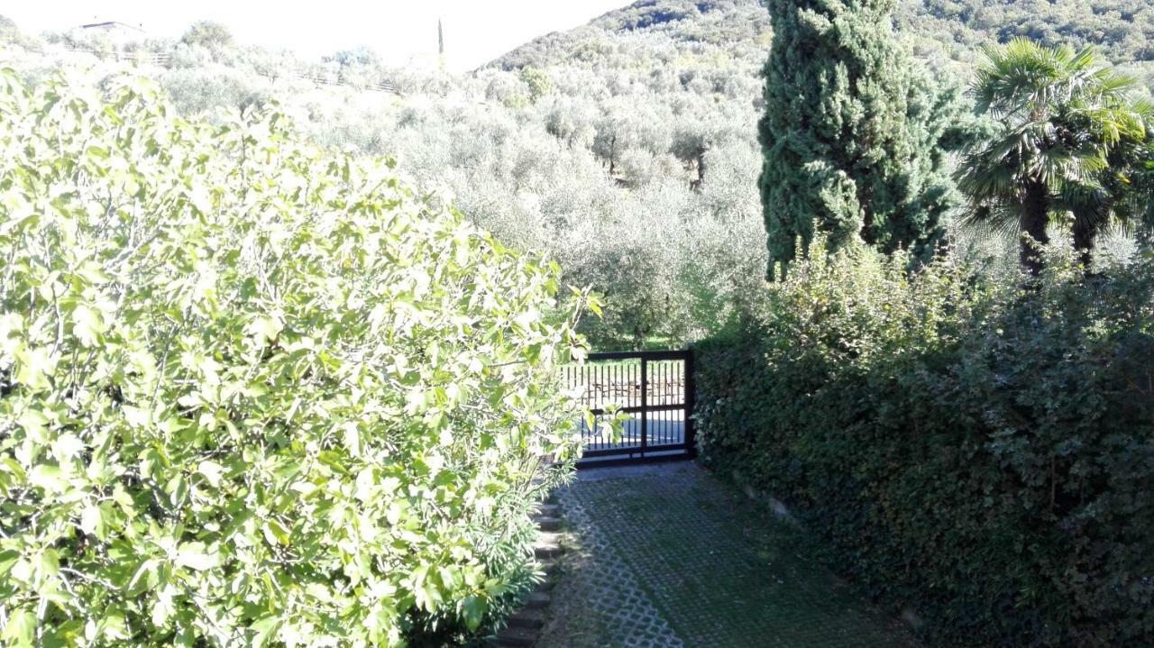 Terrazza Sugli Ulivi Διαμέρισμα Ρίβα ντελ Γκάρντα Εξωτερικό φωτογραφία